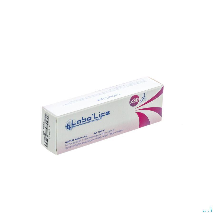 Bmp4 5CH Capsule 30  -  Labo Life