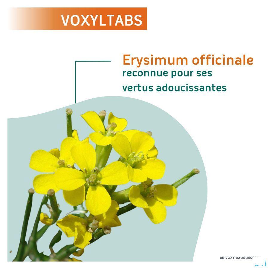 Voxyltabs Zuigtabletten 24 2663490