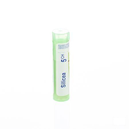 Silicea 5CH Gr 4g  -  Boiron