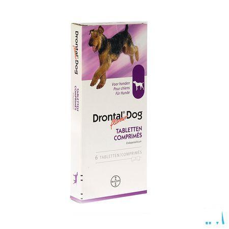 Drontal Dog Flavour Comprimes 6