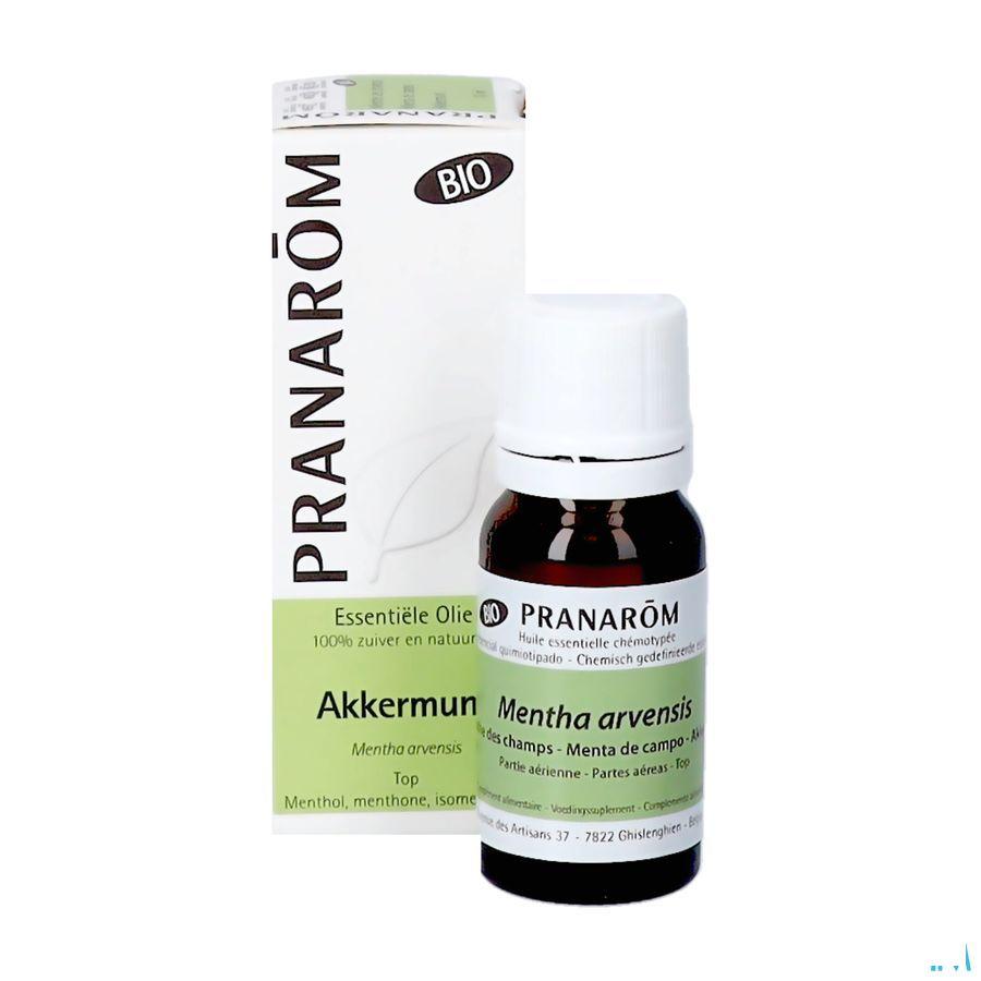 Munt Bio Essentiele Olie 10 ml  -  Pranarom