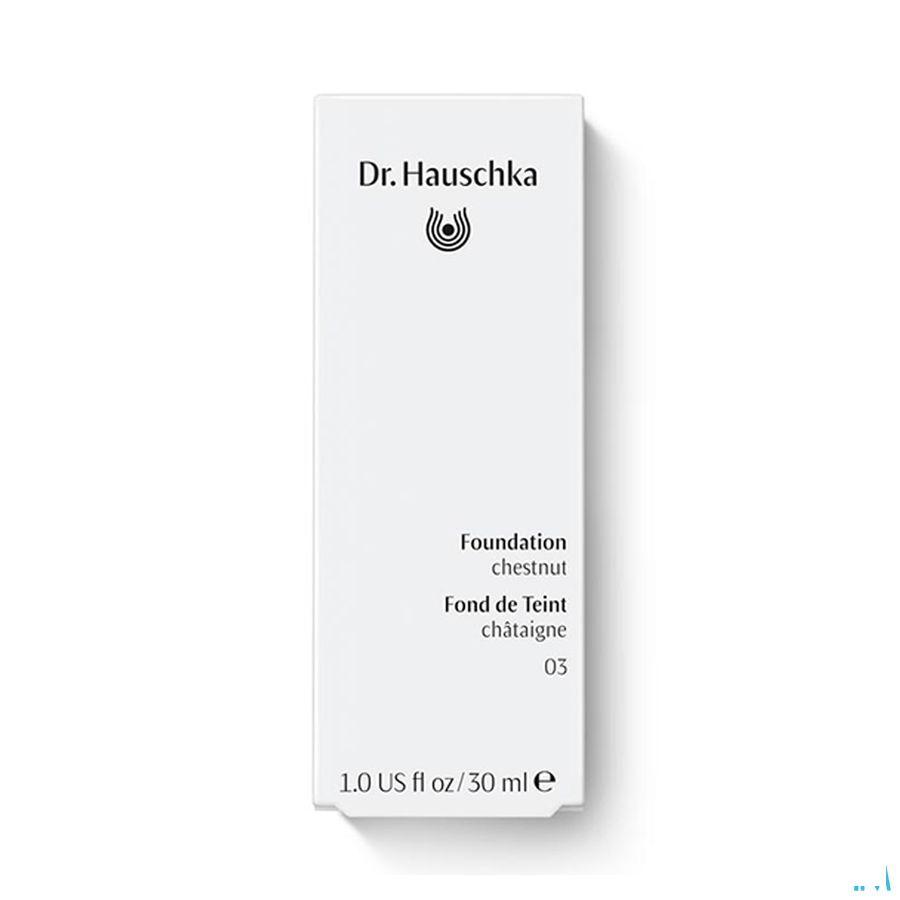 Dr.Hauschka Foundation 03 chestnut 30 ml   -  Wala Nederland