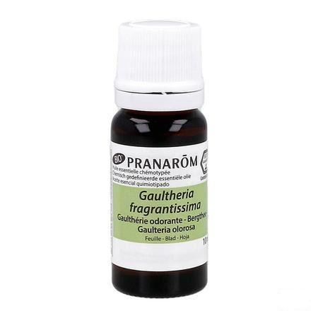 Gaultherie Odorante Bio Essentiele Olie 10 ml  -  Pranarom