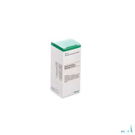 Dulcamara-homaccord Druppels 30 ml  -  Heel