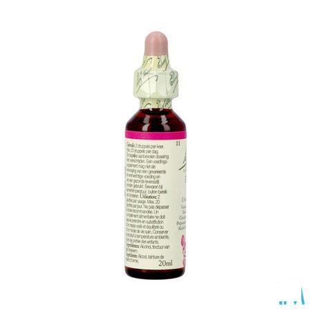 Bach Flower Remedie 11 Elm 20 ml