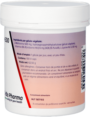 L-methionine + b6 Capsule 100x500 mg  -  Deba Pharma