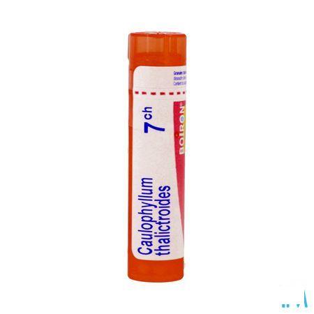 Caulophyllum Thalictroides 7CH Gr 4g  -  Boiron
