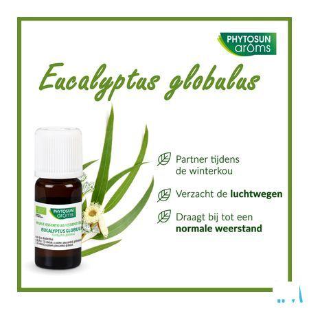 Phytosun Euc. Globulus Fr-bio-01 10 ml