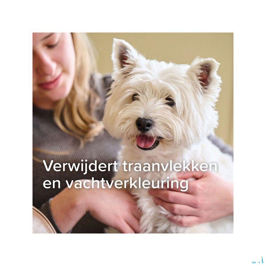 Oftal Traansmeerremmer Collyre 50 ml 11632