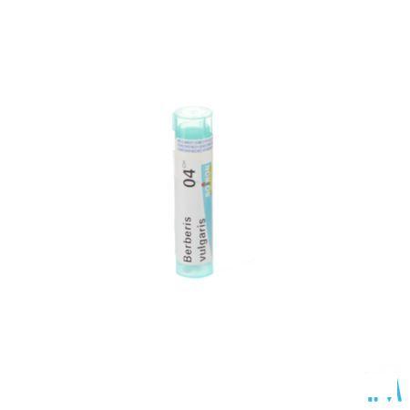 Berberis Vulgaris 4ch Gr 4g  -  Boiron