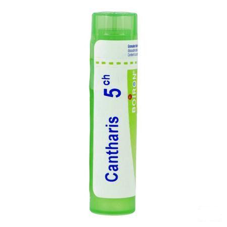 Cantharis 7CH Gr 4g  -  Boiron