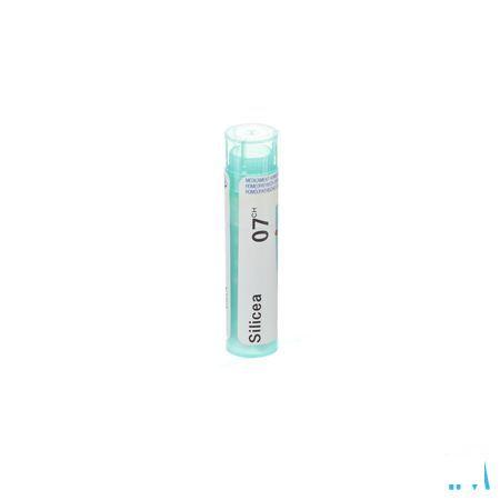 Silicea 7CH Gr 4g  -  Boiron