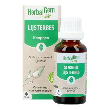 Herbalgem Lijsterbes Bio 30 ml