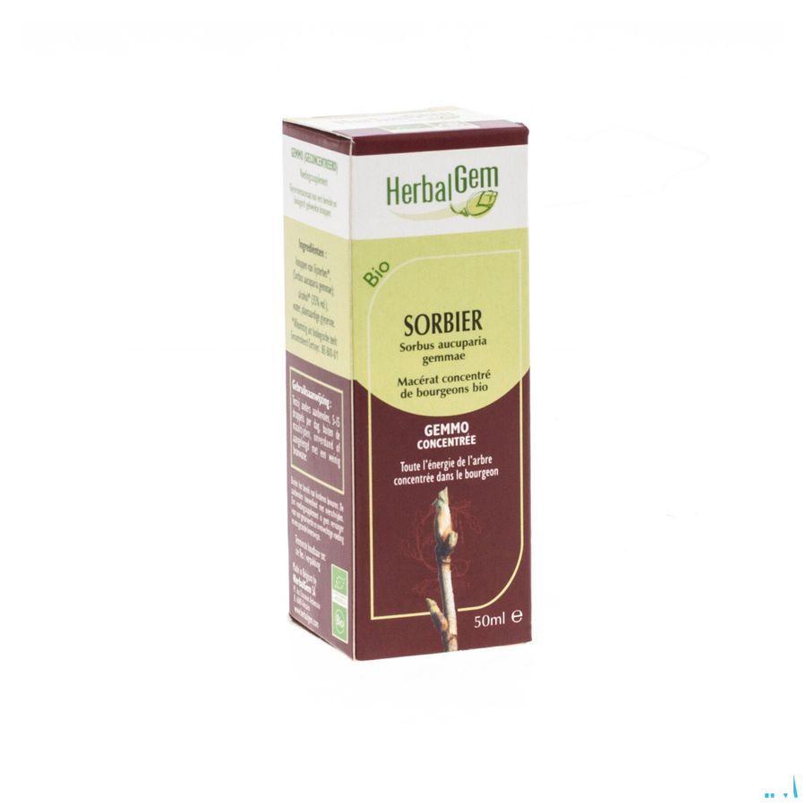 Herbalgem Lijsterbes Maceraat 50 ml  -  Herbalgem