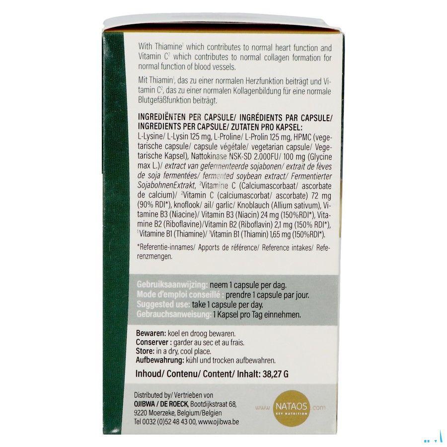 Nattokinase Nsk-Sd Caps 60X100 mg