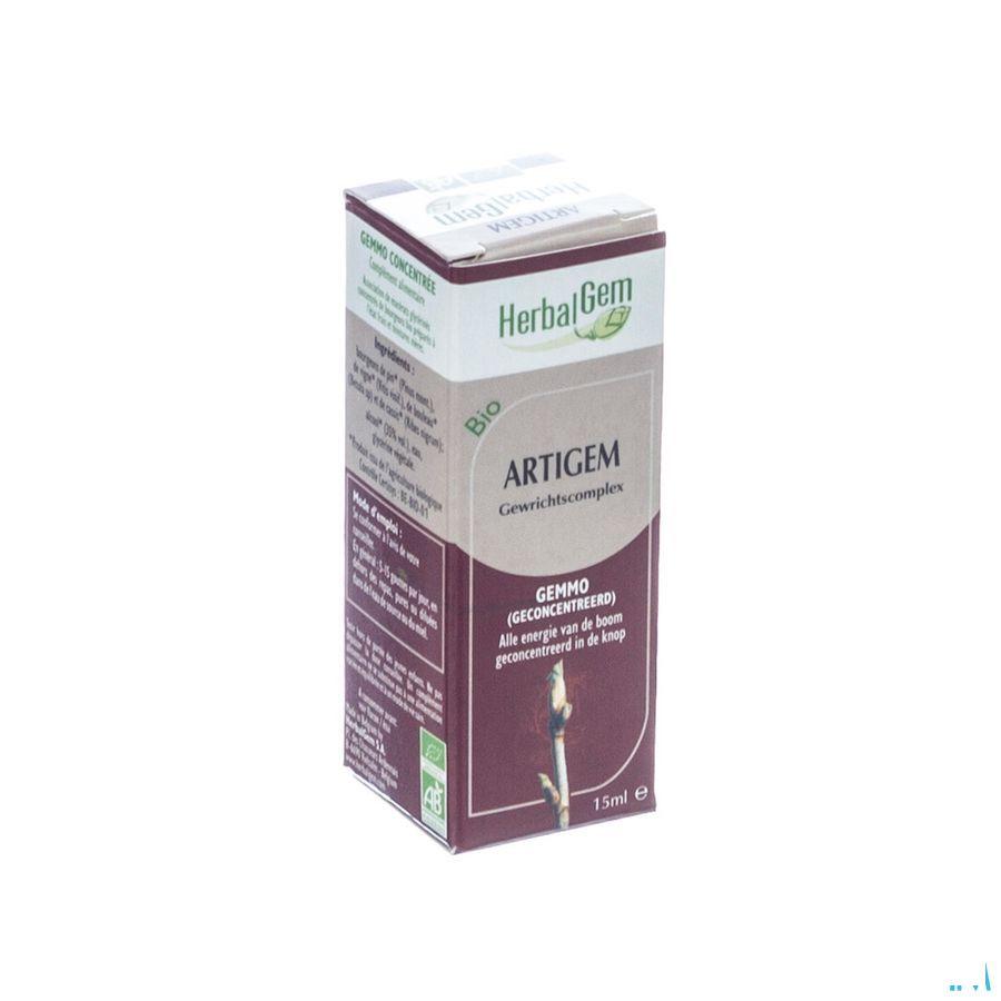 Herbalgem Artigem Complex 15 ml  -  Herbalgem