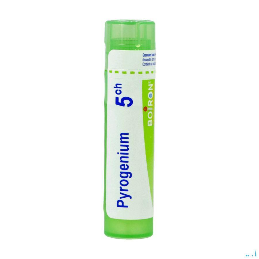 Pyrogenium 5CH Gr 4g  -  Boiron