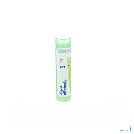 Sepia Officinalis 5CH Gr 4g  -  Boiron