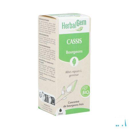Herbalgem Zwarte Bes Maceraat 30 ml  -  Herbalgem