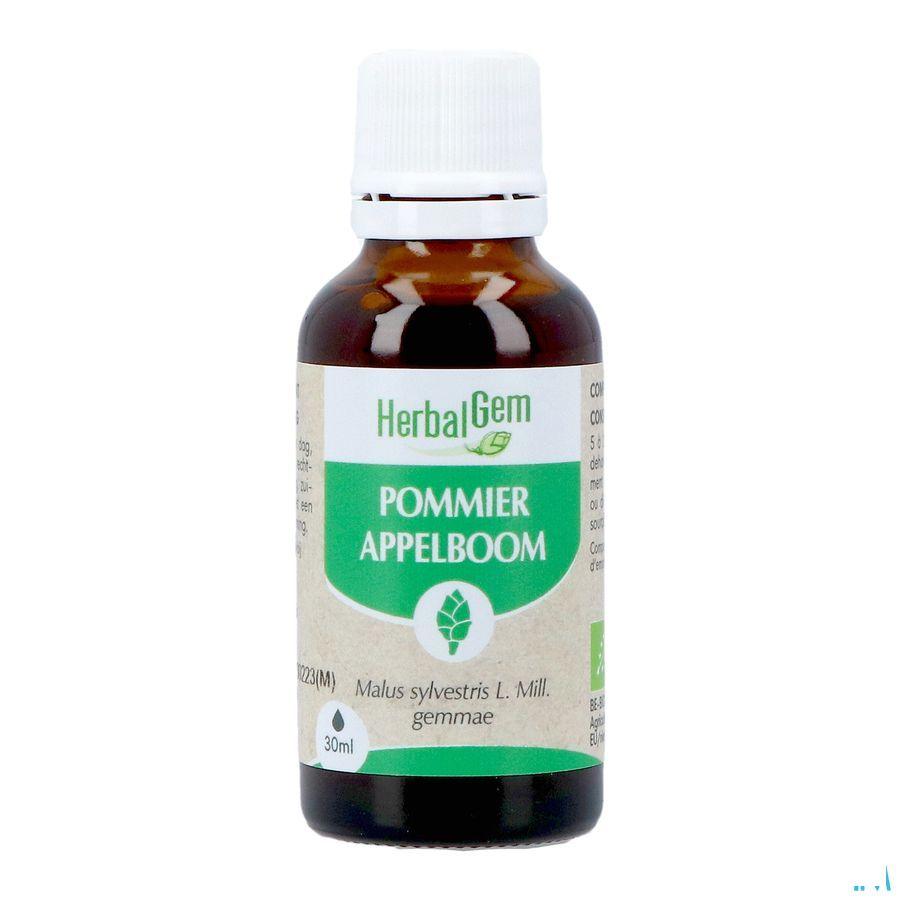 Herbalgem Appelboom Bio 30 ml