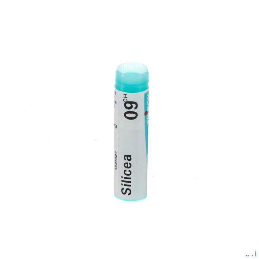 Silicea 9CH Gl  -  Boiron