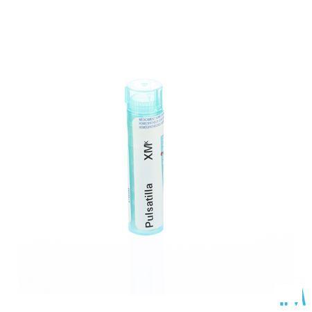 Pulsatilla XMK Gr 4g  -  Boiron