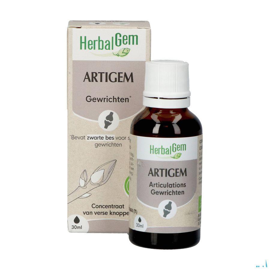 Herbalgem Artigem Bio 30 ml