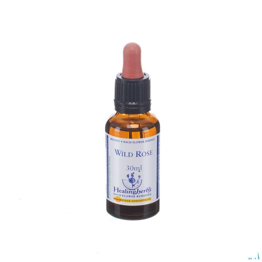 Healing Herbs Wild Rose 30 ml