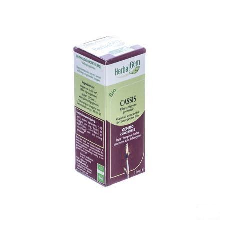 Herbalgem Zwarte Bes Maceraat 15 ml  -  Herbalgem