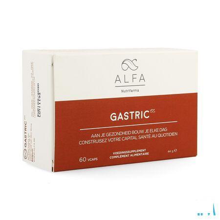 Alfa Gastric V-Capsule 60  -  Nutrifarma