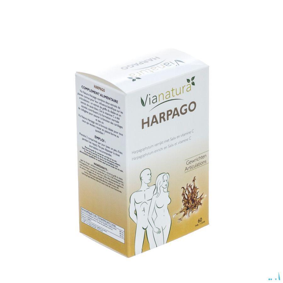Harpago Tabletten 60x46,5 gr  -  Biover