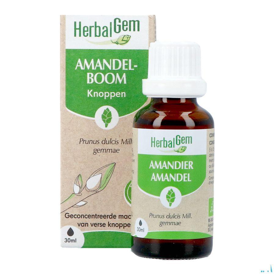 Herbalgem Amande Do Bio 30 ml