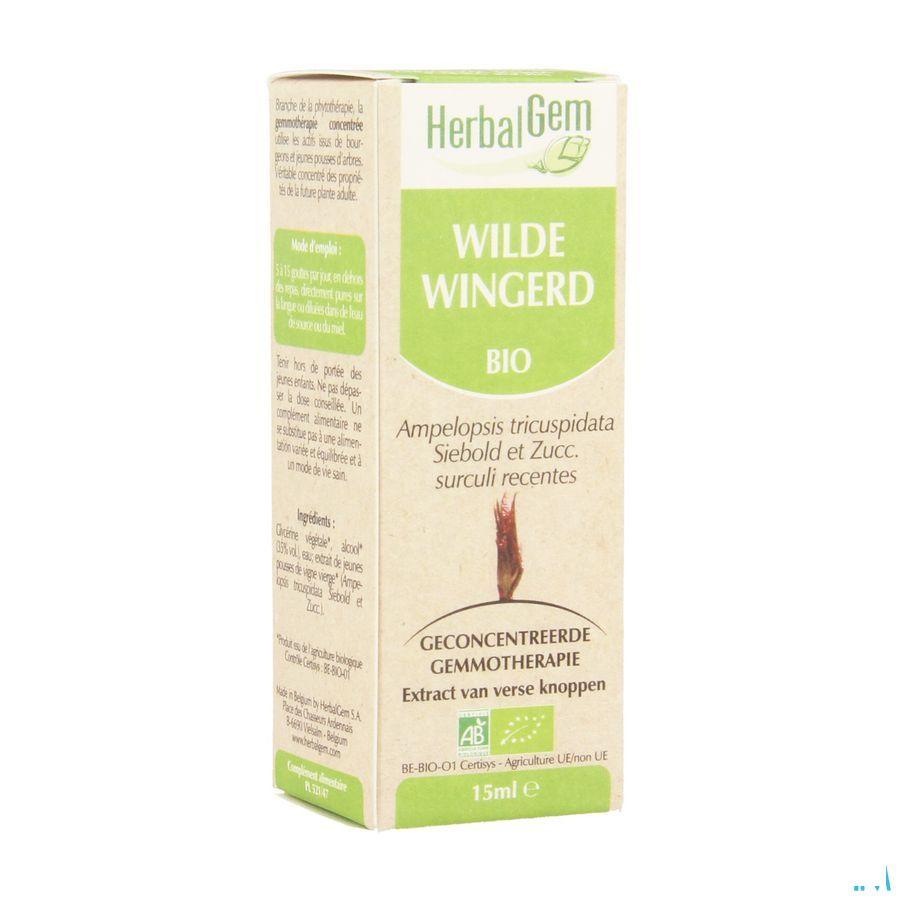 Herbalgem Wilde Wingerd Maceraat 15 ml  -  Herbalgem