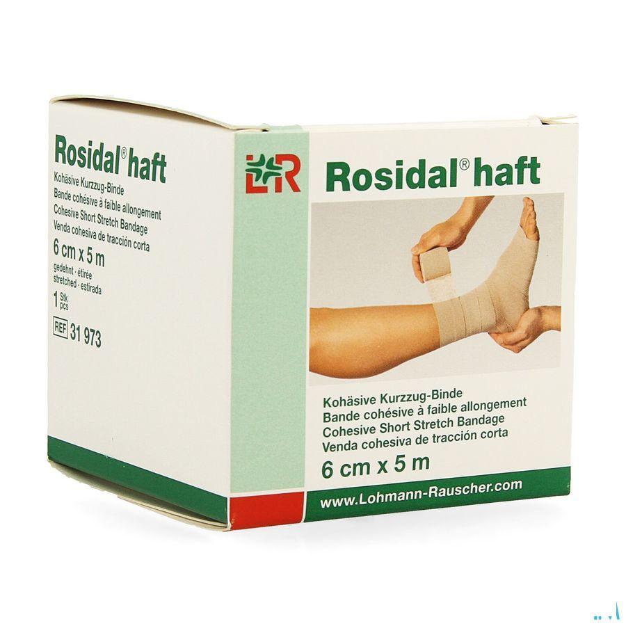 Rosidal Haft Cohesieve Windel 6cmx5m 1 31973  -  Lohmann & Rauscher