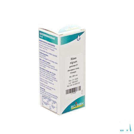 Ribes Nigrum Gemmo D1 60 ml  -  Boiron