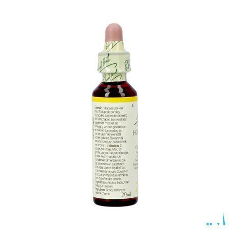 Bach Flower Remedie 17 Hornbeam 20 ml