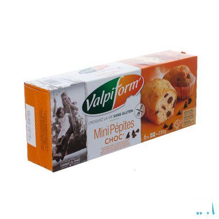 Valpi Mini Cakes Chocolat sans gluten 6x40 gr 4017  -  Revogan