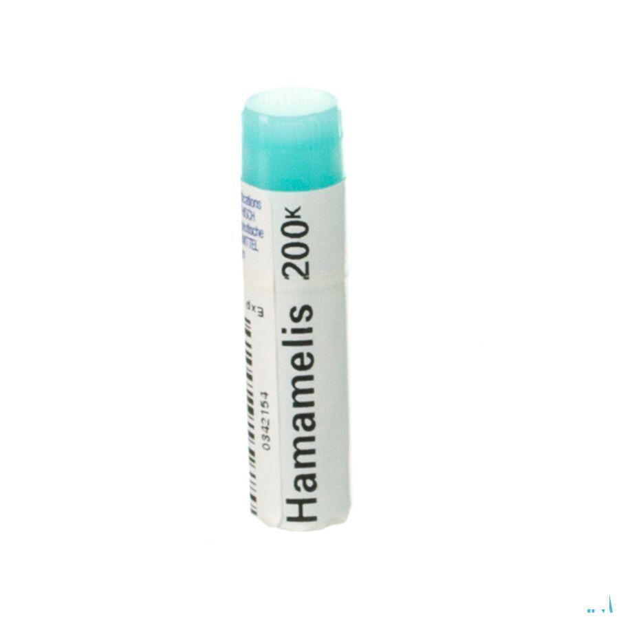 Hamamelis Virginiana 200K Gl  -  Boiron
