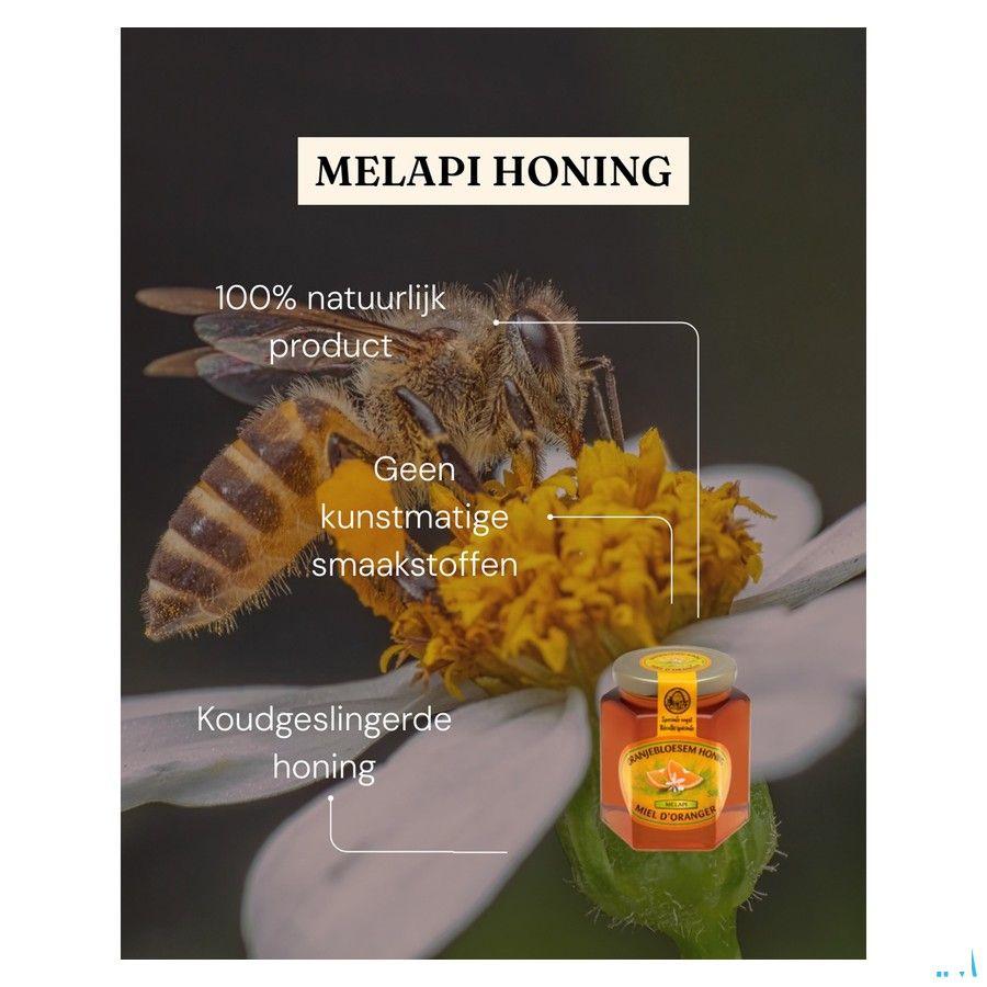 Melapi Honing Oranjebloesem 500 gr 3049  -  Revogan