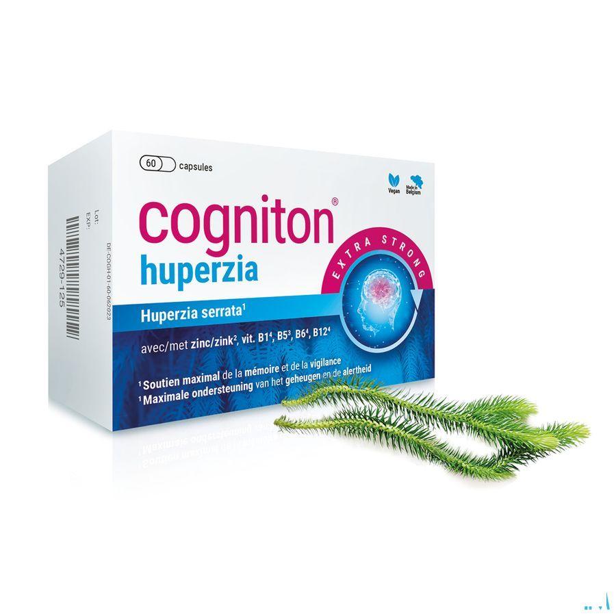 Cogniton Huperzia Caps 60