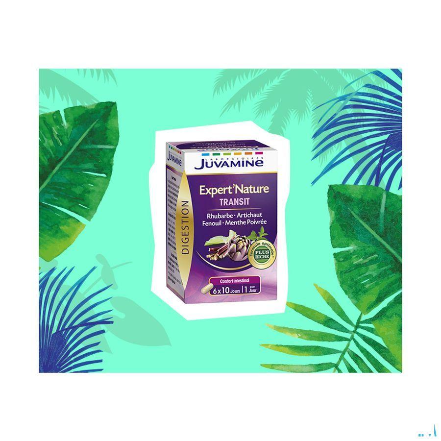 Juvamine Darmtransit Tabletten 60  -  Urgo Healthcare