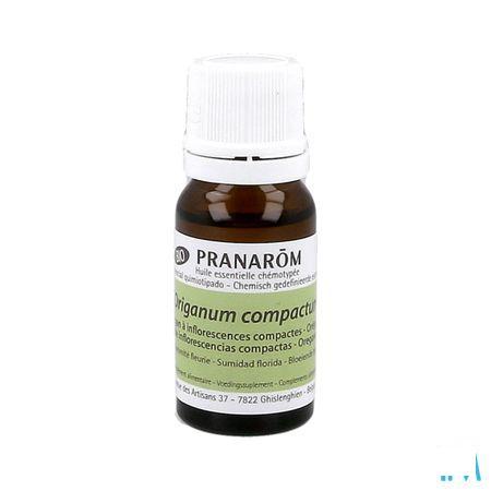 Oregano Inflor. Bio Essentiele Olie 10 ml  -  Pranarom