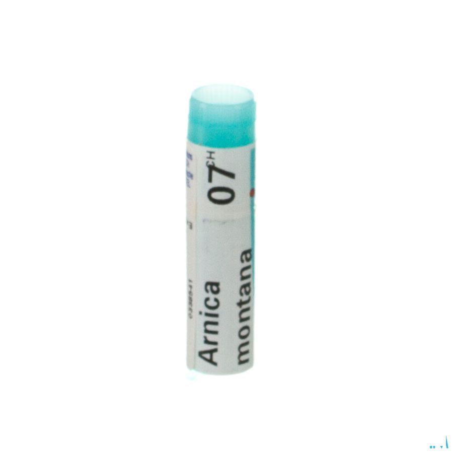 Arnica Montana 7CH Gl  -  Boiron