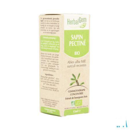 Herbalgem Zilverspar Maceraat 15 ml  -  Herbalgem