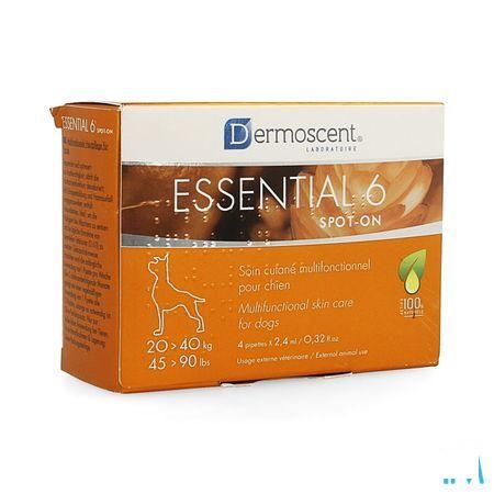 Essential 6 Spot-on Chien 20-40kg et 4x2,4 ml 