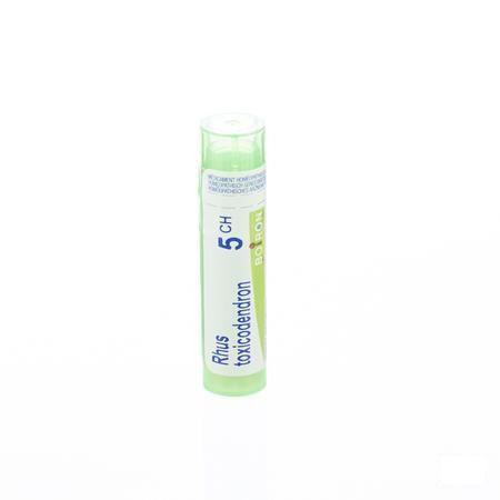 Rhus Toxicodendron 5CH Gr 4g  -  Boiron