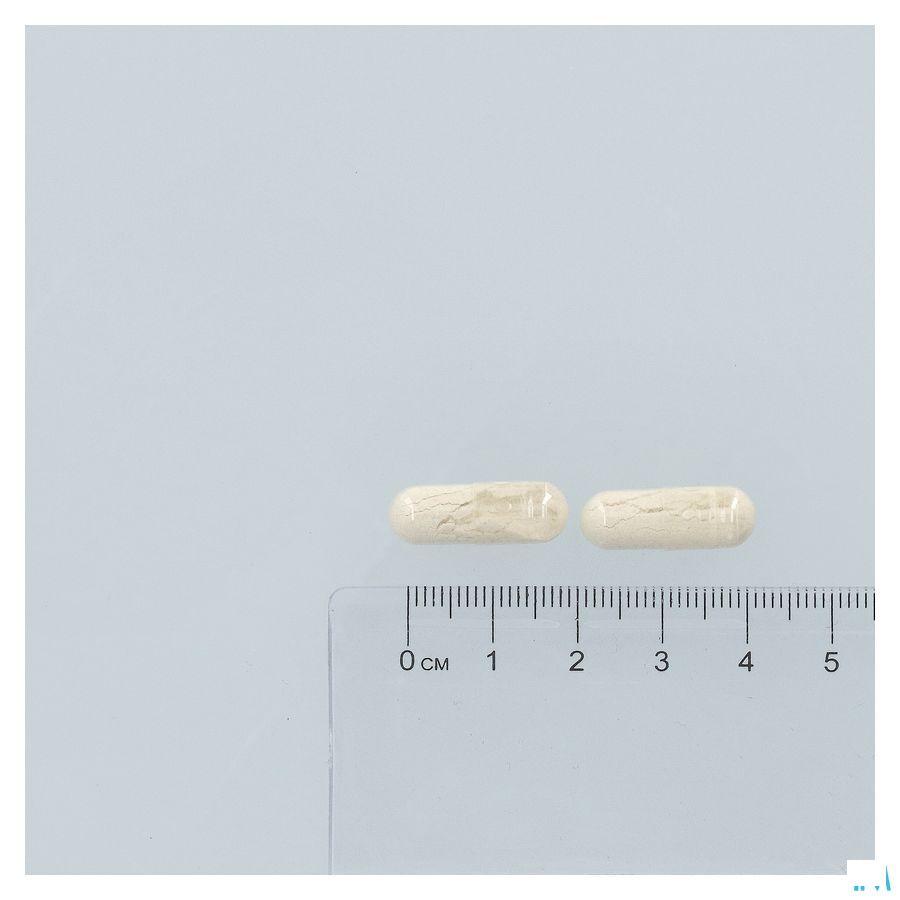 Digest Ok Capsule 60  -  Revogan