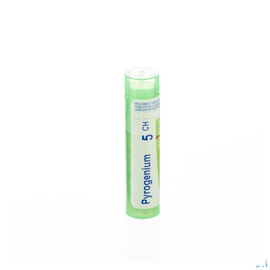 Pyrogenium 5CH Gr 4g  -  Boiron