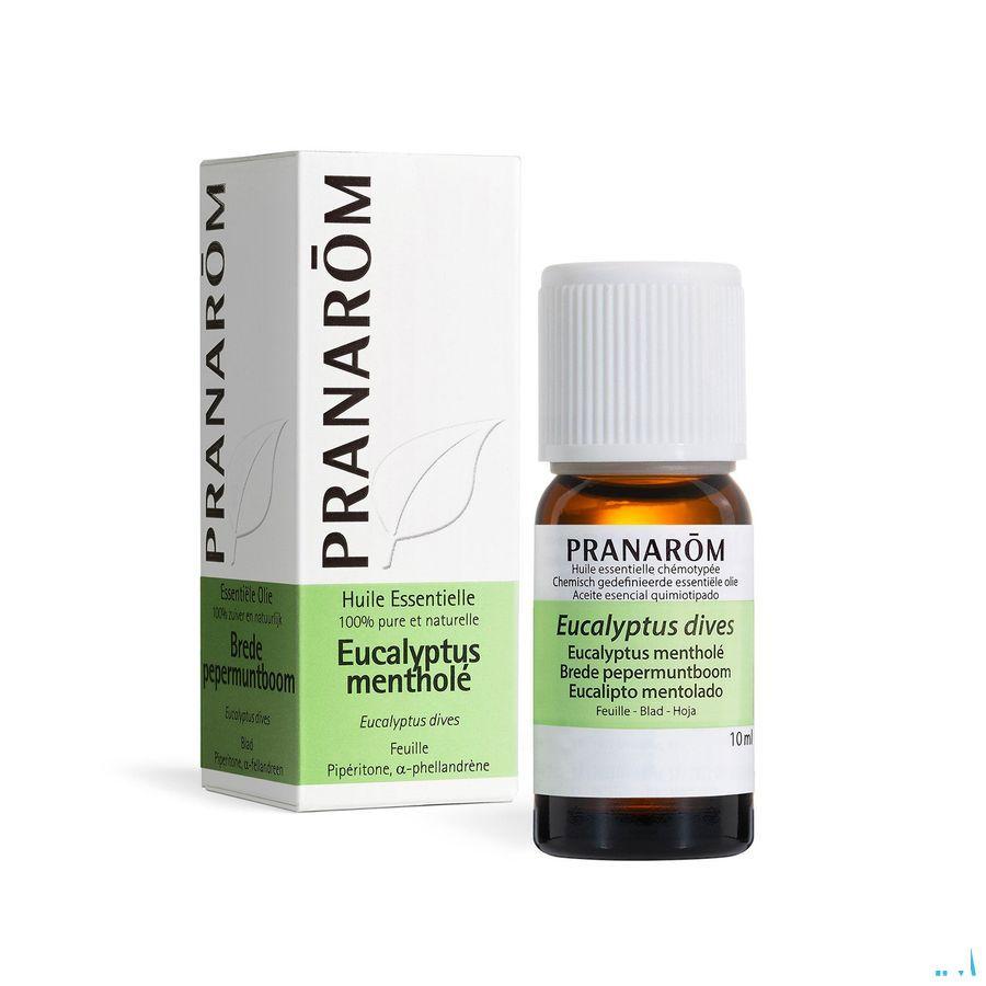 Eucalyptus Menthol Essentiele Olie 10 ml  -  Pranarom