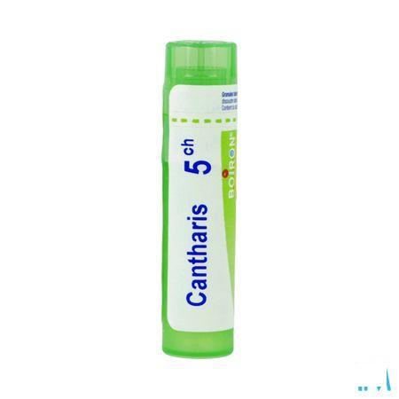 Cantharis 7CH Gr 4g  -  Boiron